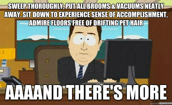 Sweep thoroughly, put all brooms & vacuums neatly away. Sit down to experience sense of accomplishment, admire floors free of drifting pet hair AAAAND there's more - Sweep thoroughly, put all brooms & vacuums neatly away. Sit down to experience sense of accomplishment, admire floors free of drifting pet hair AAAAND there's more  aaaand its gone