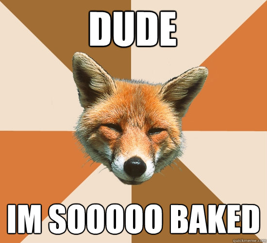 dude
 im sooooo baked - dude
 im sooooo baked  Condescending Fox