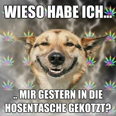 Wieso habe ich... .. mir gestern in die Hosentasche gekotzt?   Stoner Dog