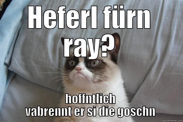 HEFERL FÜRN RAY? HOFFNTLICH VABRENNT ER SI DIE GOSCHN Grumpy Cat