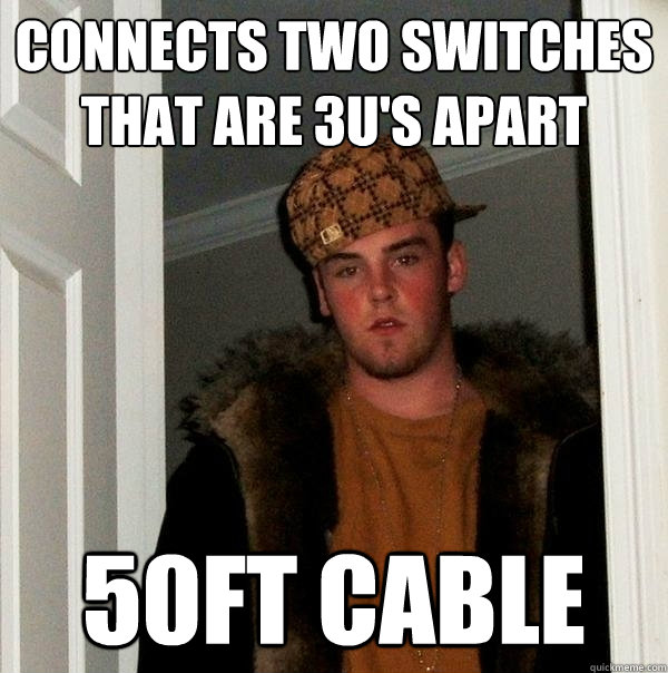 Connects two switches that are 3u's apart 50ft cable - Connects two switches that are 3u's apart 50ft cable  Scumbag Steve