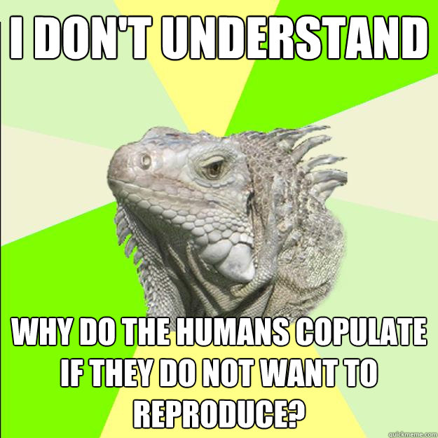 i don't understand why do the humans copulate if they do not want to reproduce? - i don't understand why do the humans copulate if they do not want to reproduce?  Rationalist Lizard