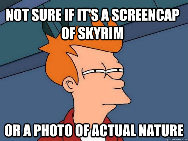 Not sure if it's a screencap of Skyrim or a photo of actual nature  Futurama Fry