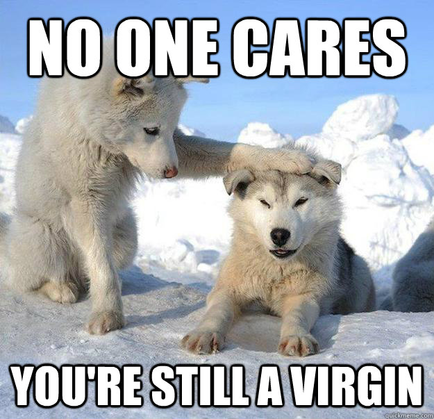 no one cares you're still a virgin  Caring Husky