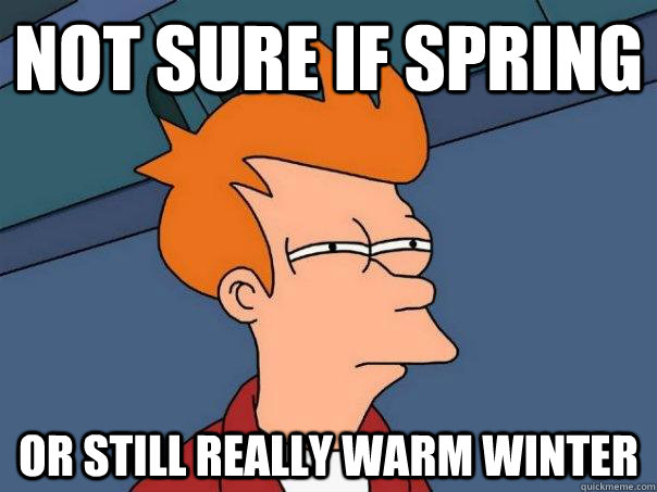 Not sure if spring or still really warm winter - Not sure if spring or still really warm winter  Futurama Fry