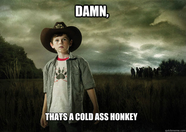 DAMN, Thats a cold ass honkey  Carl Grimes Walking Dead