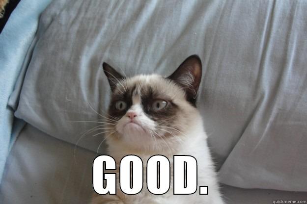 yeah well take that -  GOOD. Grumpy Cat