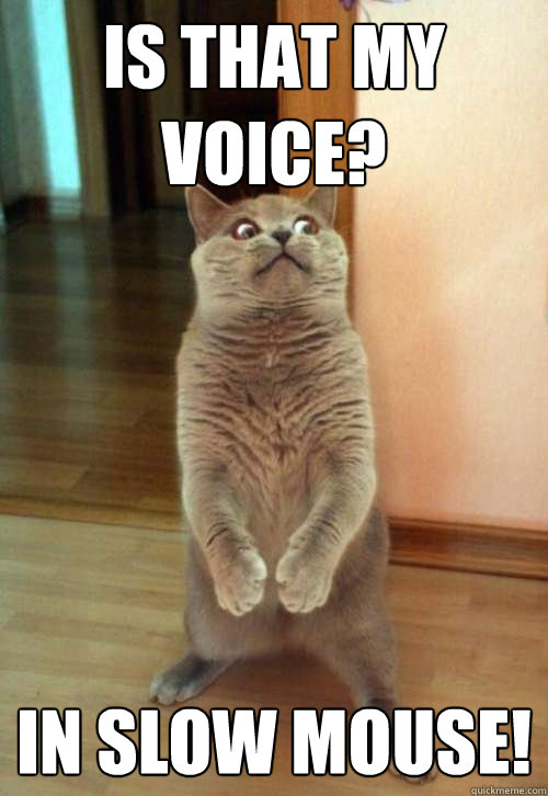 Is that my voice? In Slow Mouse!  Horrorcat