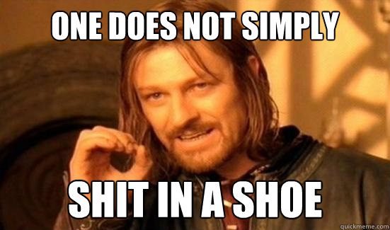 One Does Not Simply shit in a shoe - One Does Not Simply shit in a shoe  Boromir