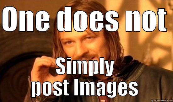 Images are banned - ONE DOES NOT  SIMPLY POST IMAGES Boromir