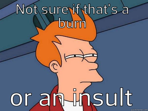 NOT SURE IF THAT'S A BURN OR AN INSULT Futurama Fry