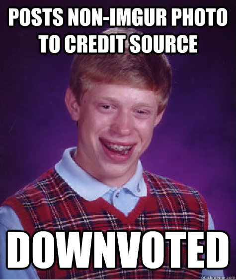 posts non-imgur photo to credit source downvoted  Bad Luck Brian