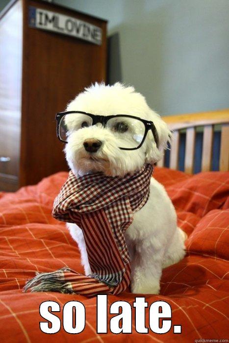  SO LATE. Hipster Dog