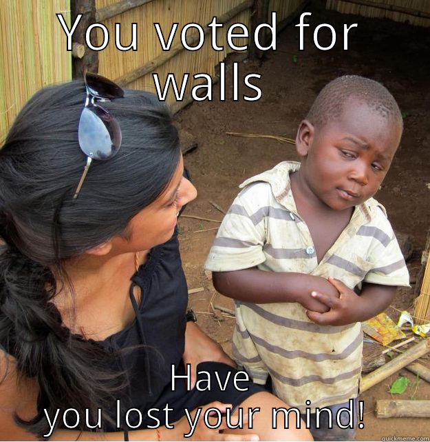 YOU VOTED FOR WALLS HAVE YOU LOST YOUR MIND!  Skeptical Third World Kid