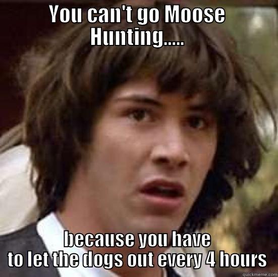 Bros B4 Bitches - YOU CAN'T GO MOOSE HUNTING….. BECAUSE YOU HAVE TO LET THE DOGS OUT EVERY 4 HOURS conspiracy keanu