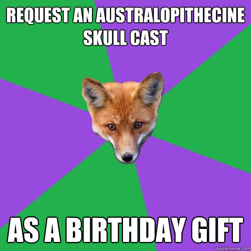 Request an australopithecine skull cast as a birthday gift - Request an australopithecine skull cast as a birthday gift  Anthropology Major Fox