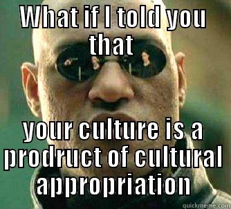 WHAT IF I TOLD YOU THAT  YOUR CULTURE IS A PRODRUCT OF CULTURAL APPROPRIATION Matrix Morpheus