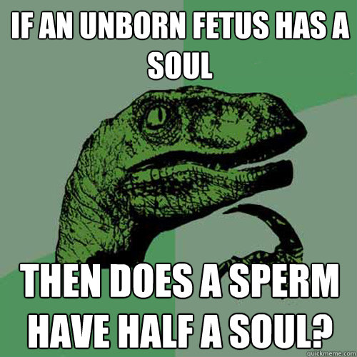 If an unborn fetus has a soul then does a sperm have half a soul?  Philosoraptor