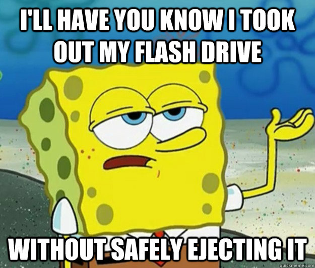 I'll have you know I took out my flash drive without safely ejecting it  Tough Spongebob