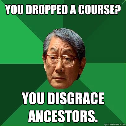 You dropped a course? You disgrace ancestors.  High Expectations Asian Father