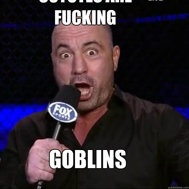 Coyotes are fucking goblins  Joe Rogan