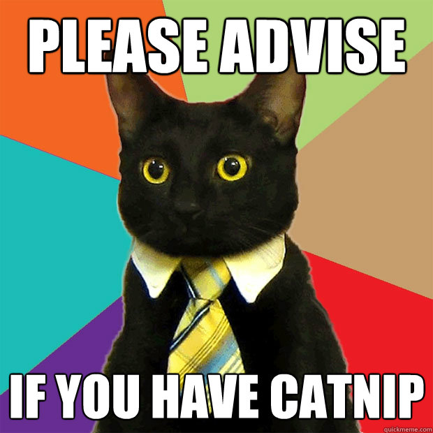 please advise if you have catnip - please advise if you have catnip  Business Cat