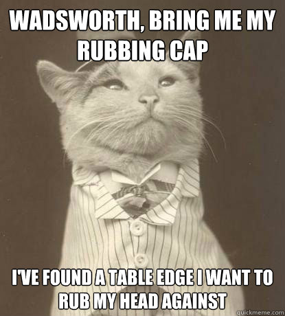 Wadsworth, bring me my rubbing cap i've found a table edge i want to rub my head against  Aristocat