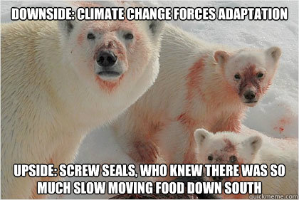 Downside: Climate change forces adaptation Upside: Screw seals, who knew there was so much slow moving food down south  Bad News Bears