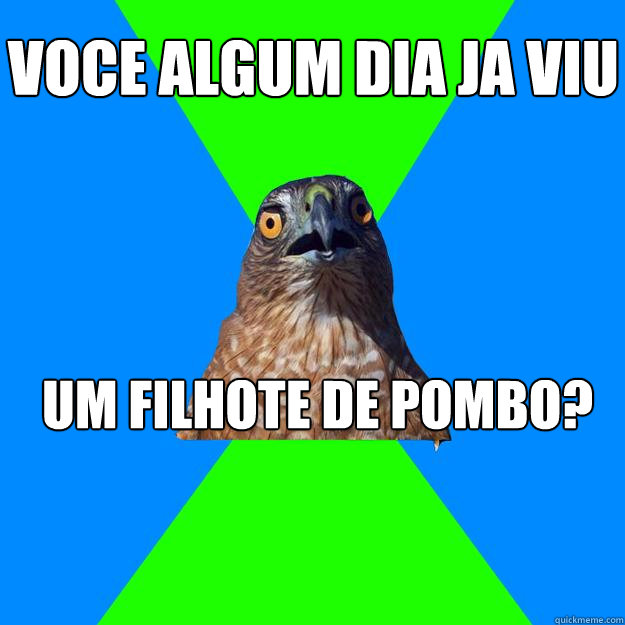 Voce algum dia ja viu  um filhote de pombo?  Hawkward