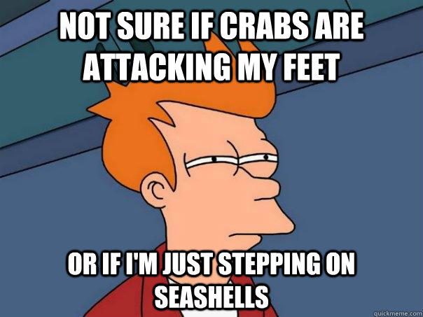 Not sure if crabs are attacking my feet or if I'm just stepping on seashells  Futurama Fry