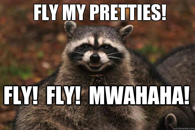 Fly my pretties! Fly!  Fly!  Mwahaha! - Fly my pretties! Fly!  Fly!  Mwahaha!  Evil Plotting Raccoon