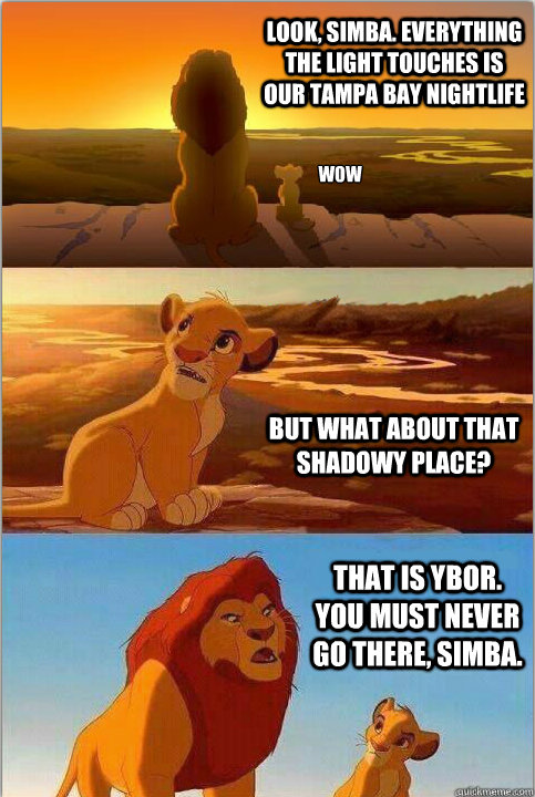 Look, Simba. Everything the light touches is our Tampa Bay Nightlife But what about that shadowy place? That is Ybor. You must never go there, Simba.  wow  
