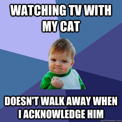 watching tv with my cat doesn't walk away when i acknowledge him - watching tv with my cat doesn't walk away when i acknowledge him  Success Kid