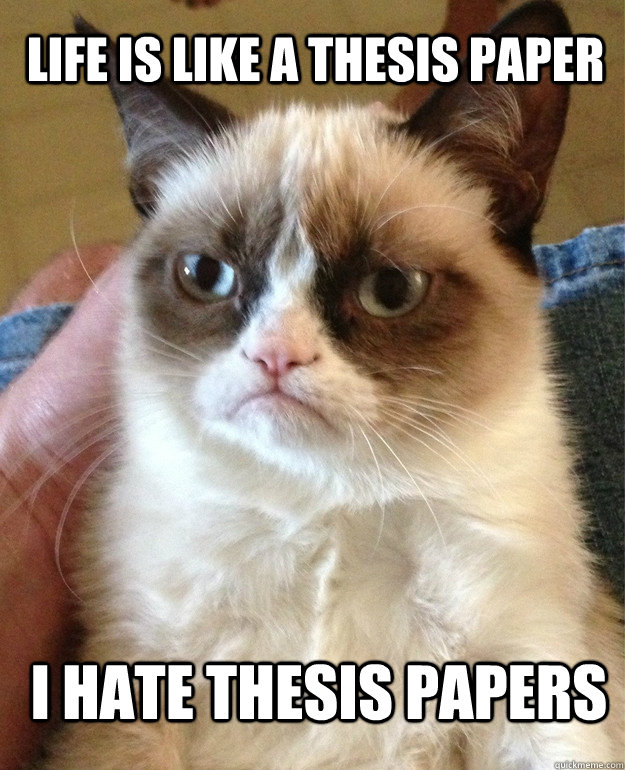 Life is like a thesis paper I hate thesis papers  Grumpy Cat