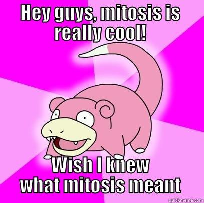 HEY GUYS, MITOSIS IS REALLY COOL! WISH I KNEW WHAT MITOSIS MEANT Slowpoke