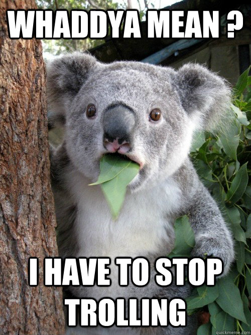 Whaddya mean ? I have to stop trolling  koala bear