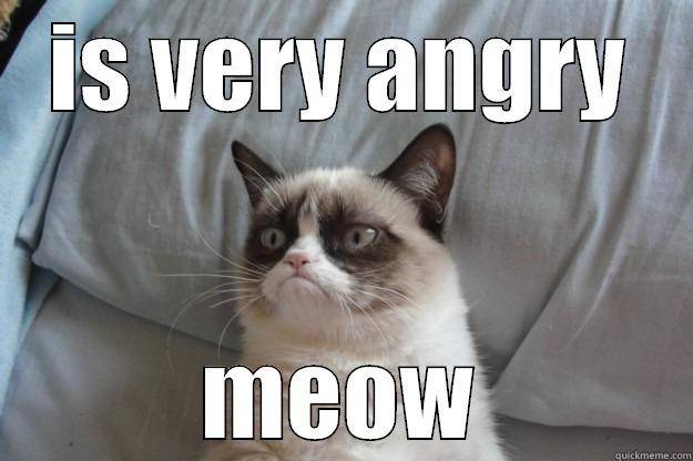 IS VERY ANGRY MEOW Grumpy Cat