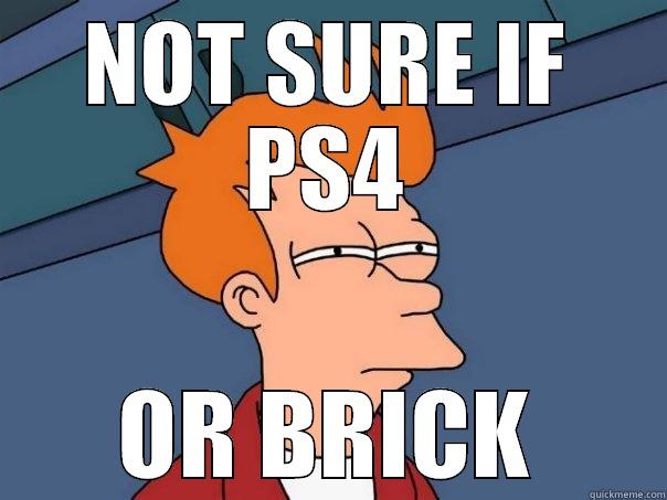 NOT SURE IF PS4 OR BRICK Futurama Fry