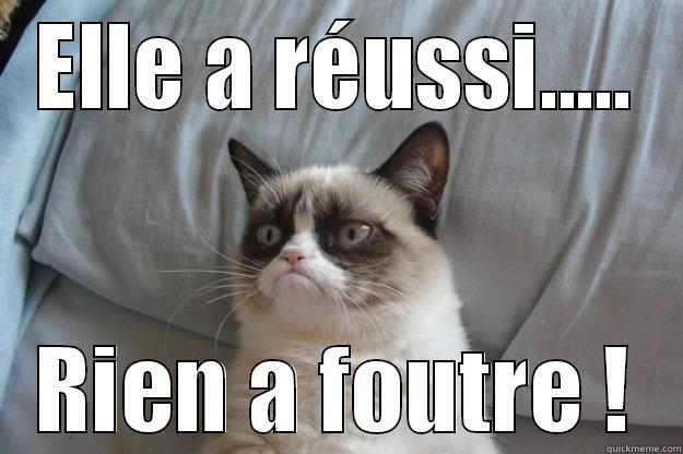 ELLE A RÉUSSI..... RIEN A FOUTRE ! Grumpy Cat