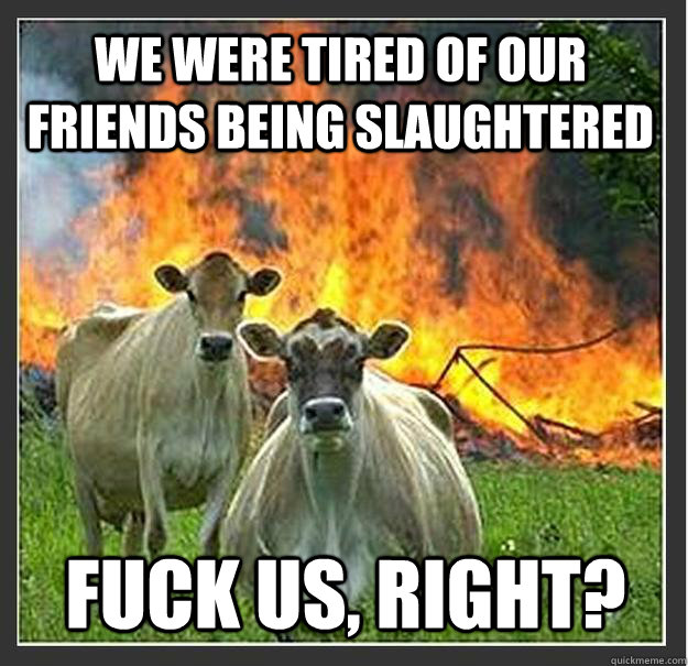 we were tired of our friends being slaughtered fuck us, right?  Evil cows