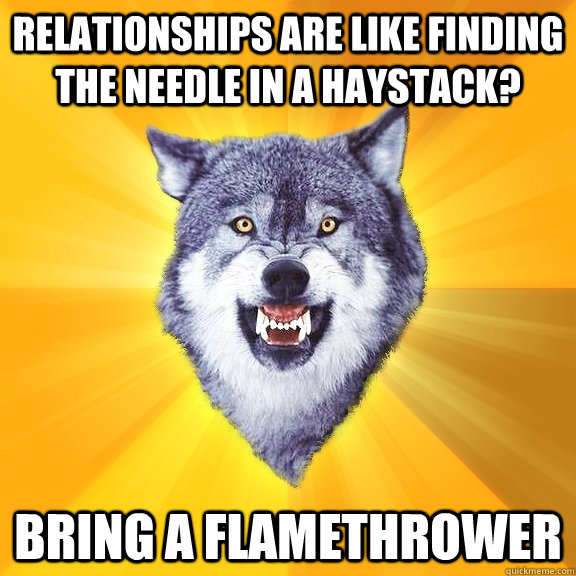 Relationships are like finding the needle in a haystack? BRING A FLAMETHROWER  Courage Wolf