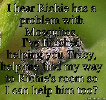 Our friend - I HEAR RICHIE HAS A PROBLEM WITH MOSQUITOS. I'VE FINISHED HELPING YOU TRACY, HELP ME FIND MY WAY TO RICHIE'S ROOM SO I CAN HELP HIM TOO? Misunderstood Spider