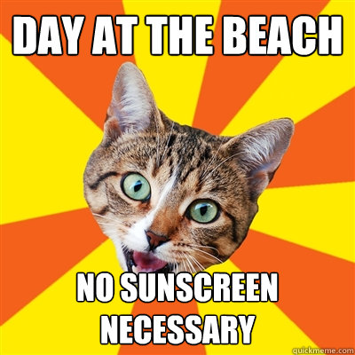 day at the beach no sunscreen necessary    Bad Advice Cat