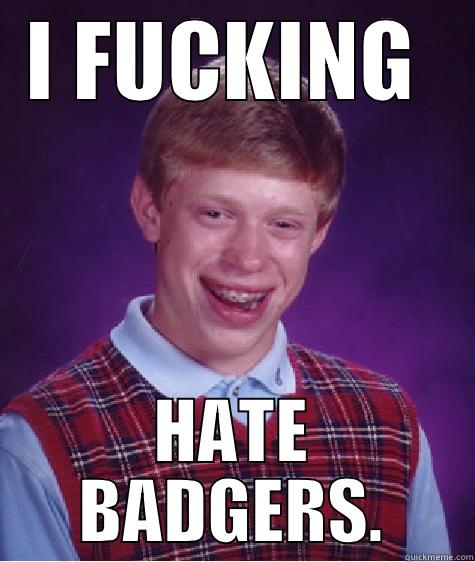 badger boy. - I FUCKING  HATE BADGERS. Bad Luck Brian