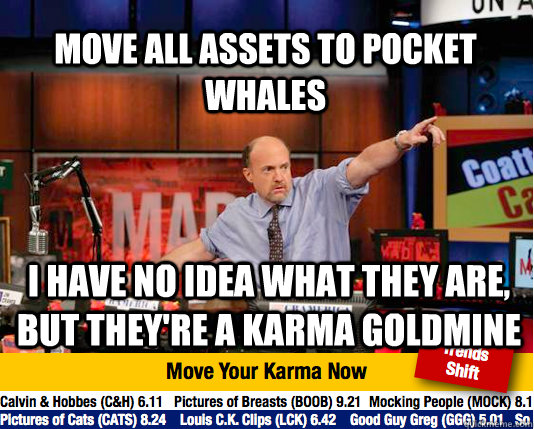 Move all assets to pocket whales I have no idea what they are, but they're a karma goldmine  Mad Karma with Jim Cramer