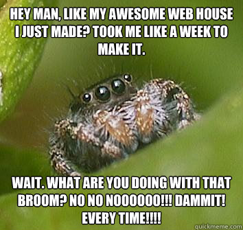 hey man, like my awesome web house i just made? took me like a week to make it. wait. what are you doing with that broom? NO NO NOOOOOO!!! dammit! every time!!!!  Misunderstood Spider