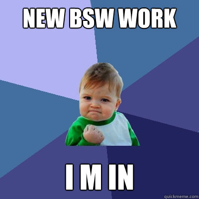 New bsw work i m in   Success Kid