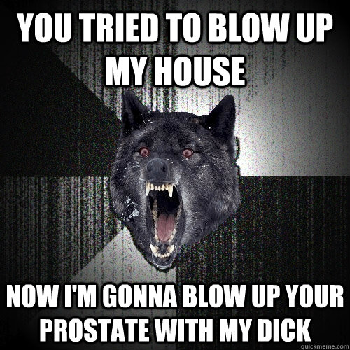 You tried to blow up my house now i'm gonna blow up your prostate with my dick  Insanity Wolf