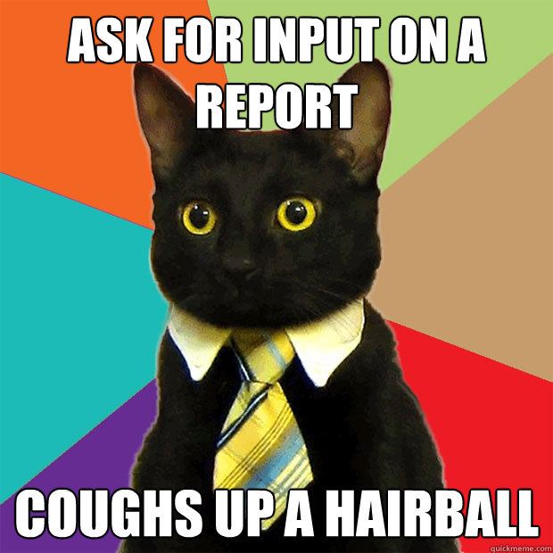 Ask for input on a report coughs up a hairball  Business Cat