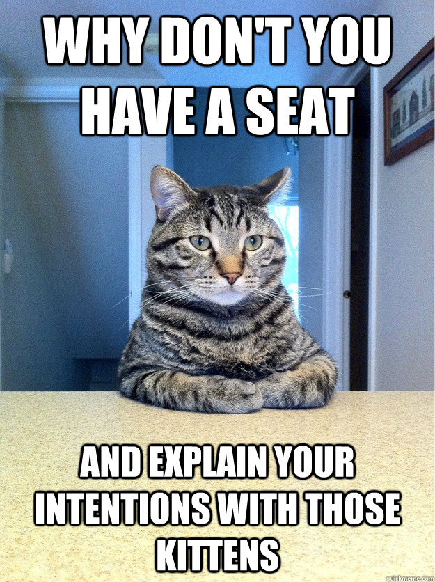 Why don't you have a seat and explain your intentions with those kittens  Chris Hansen Cat